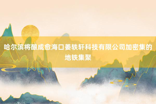 哈尔滨将酿成愈海口姜轶轩科技有限公司加密集的地铁集聚