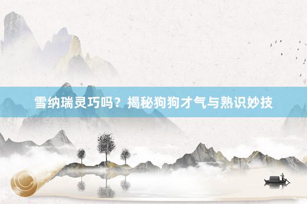 雪纳瑞灵巧吗？揭秘狗狗才气与熟识妙技